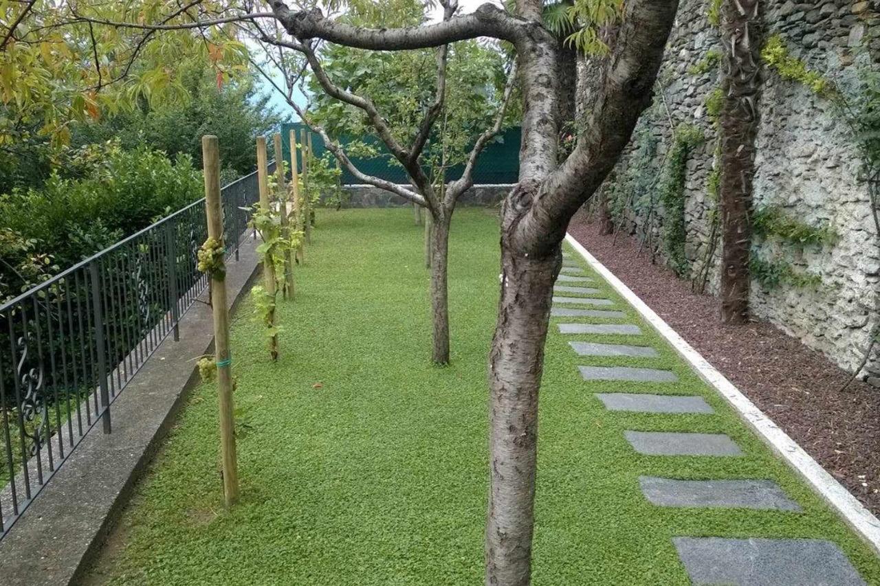 Domus Cusiana Complesso Vista Lago E Piscina Miasino Exterior foto